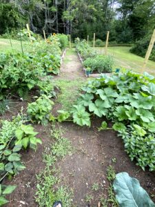 Gardening 101 starts with a fenced-in vegetable garden.