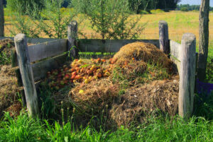 A compost pile in a wood bin. Make your own compost!