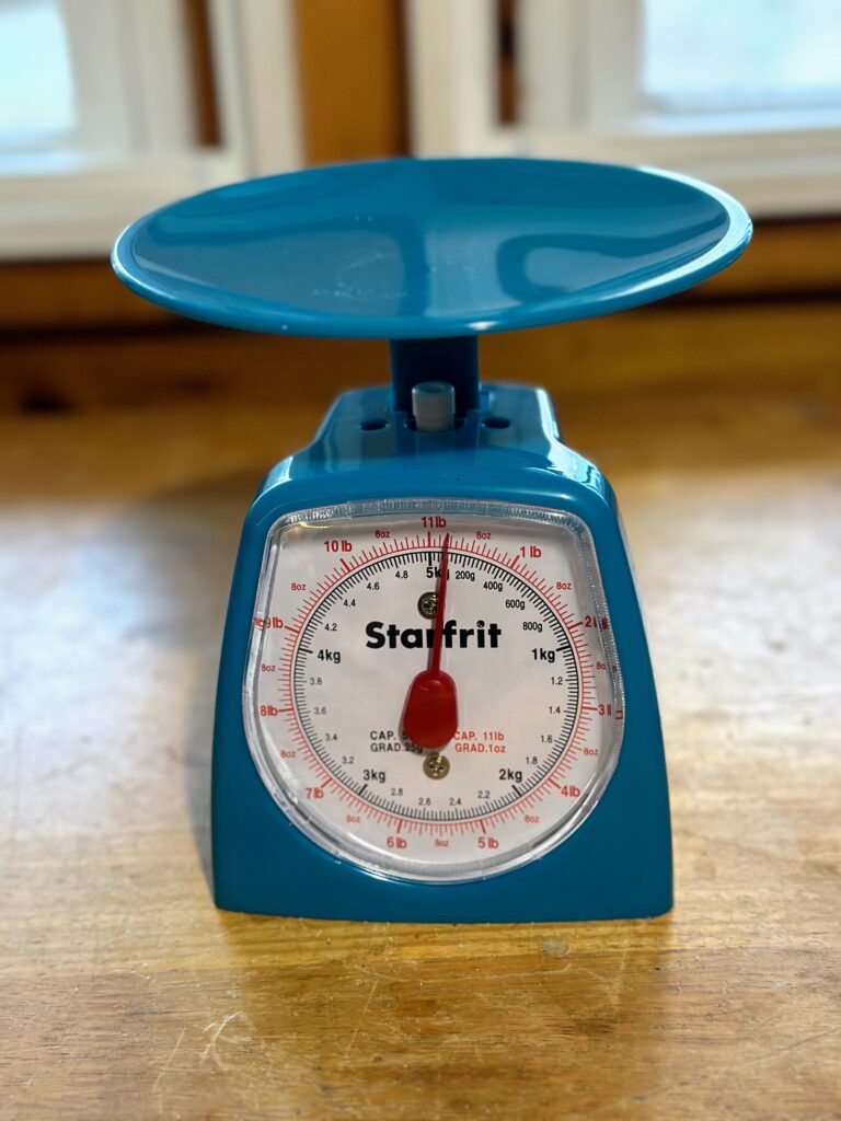 blue food scale