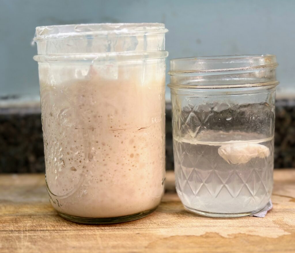 A jar of sourdough starter sitting next to a jar of water and starter